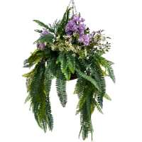 Read Evergreen Direct Reviews